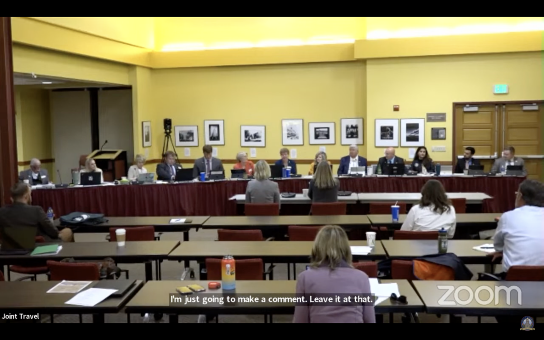 Wyoming Arts Council Presents 2023 Report to Legislators